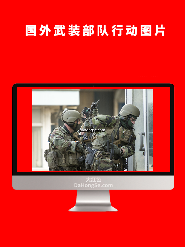 国外武装部队行动图片
