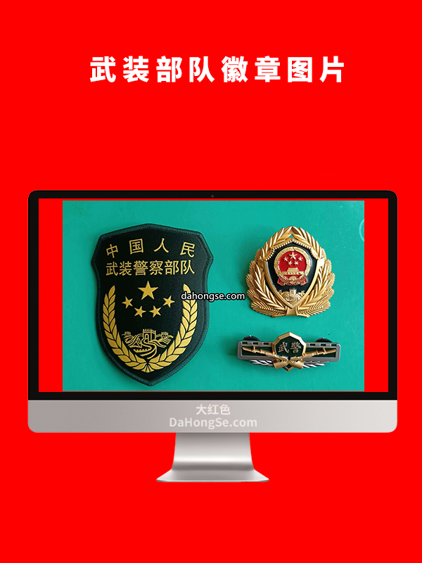 武装部队徽章图片