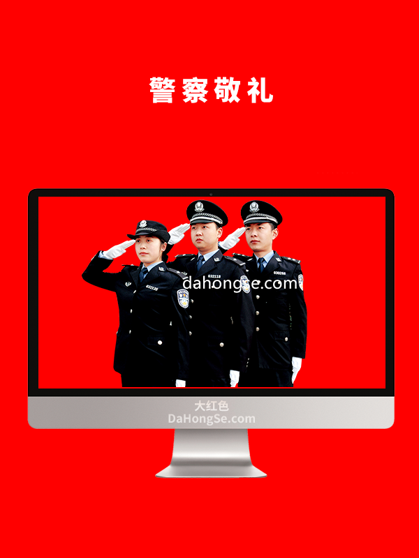 警察敬礼