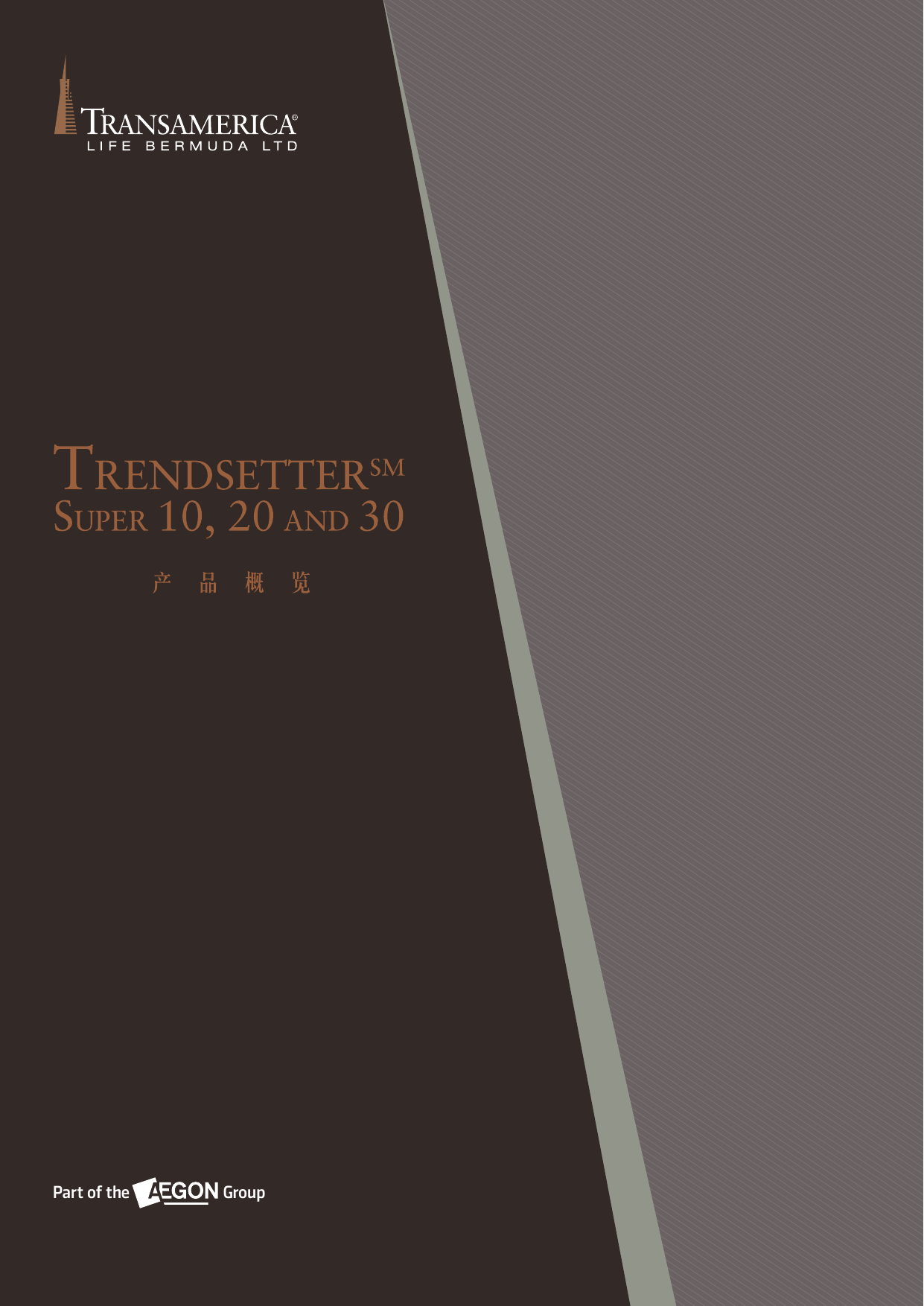 Trendsetter Super Series Product Brochure_TLB 093HSM 0514_SChi