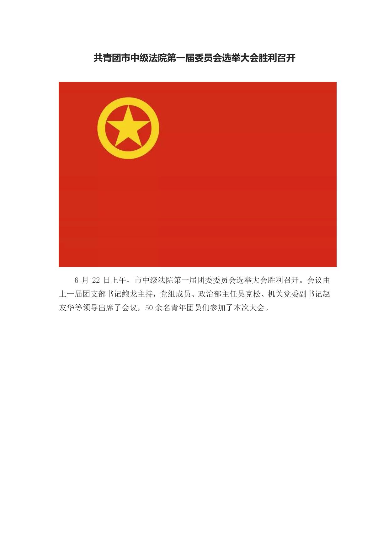 共青团市中级法院第一届委员会选举大会胜利召开