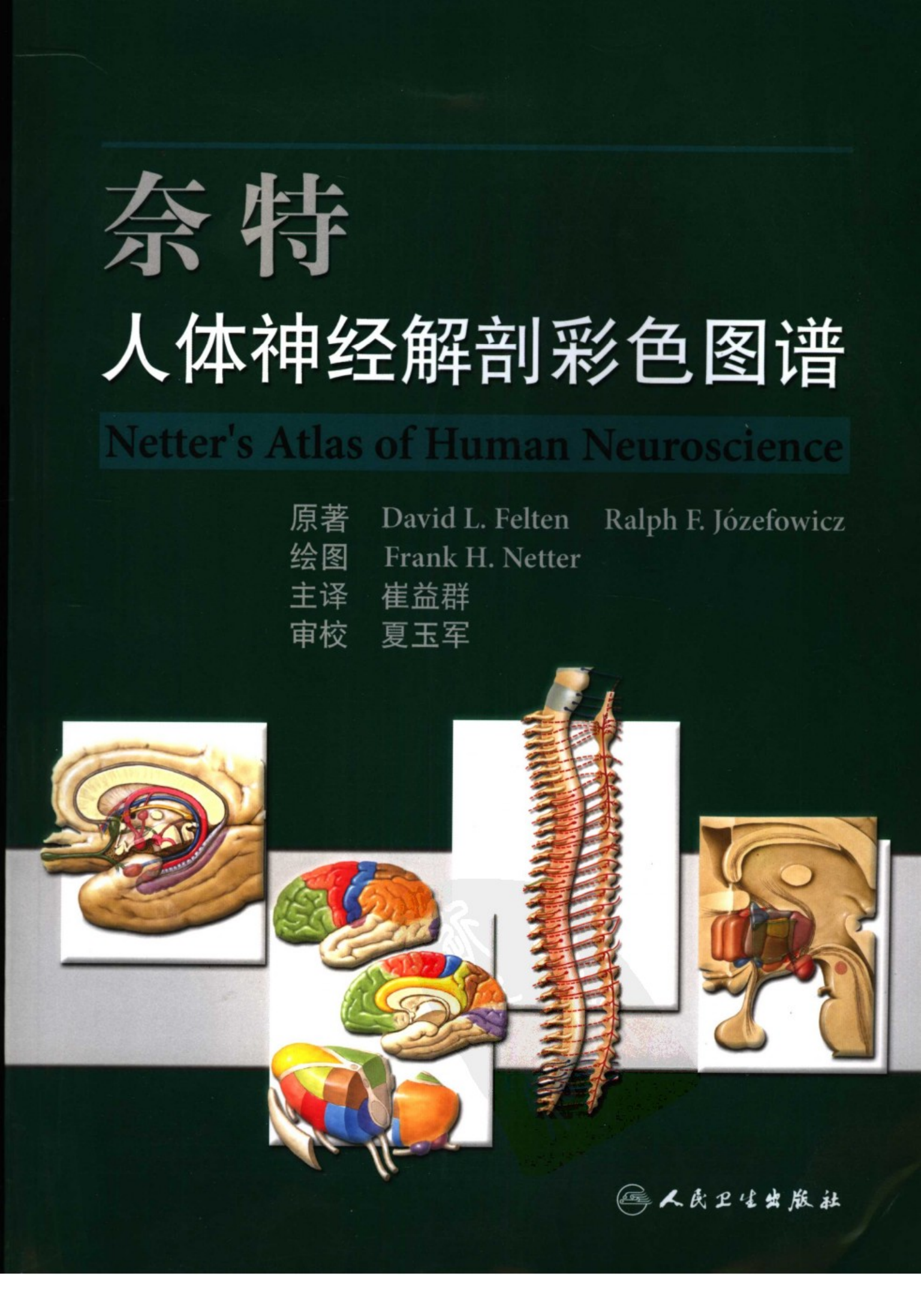 [奈特人体神经解剖彩色图谱].(美)费尔腾.扫描版