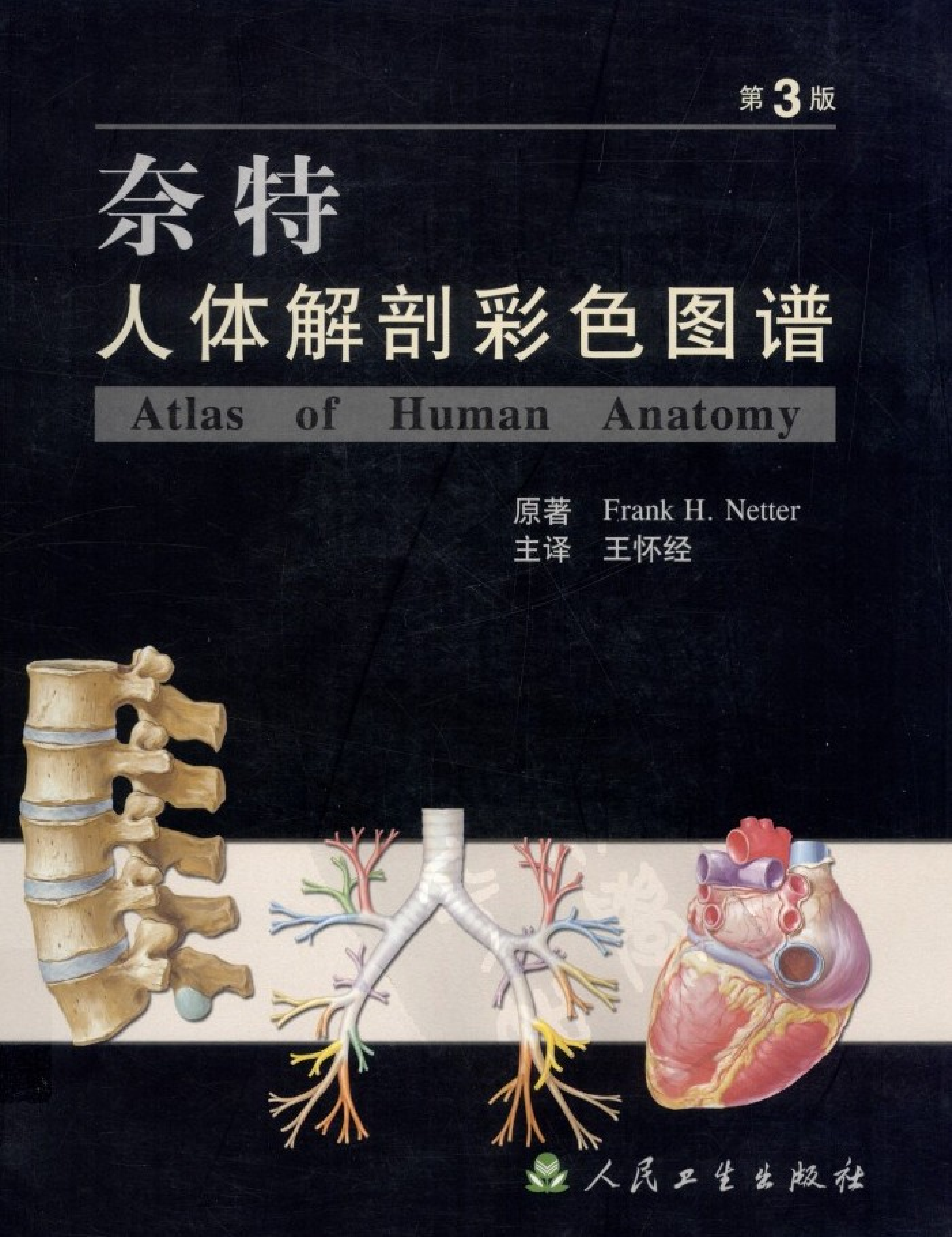 奈特人体解剖彩色图谱（第3版）（高清中文版）