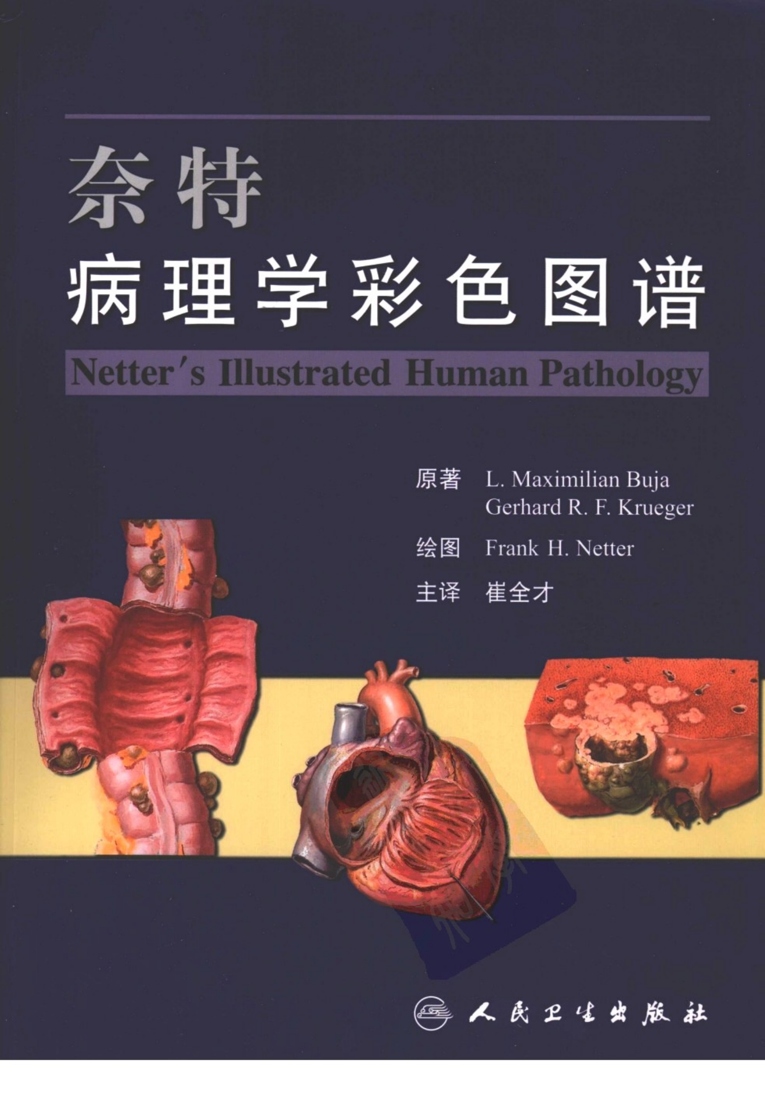 [奈特病理学彩色图谱].崔全才2008译（全彩图）.扫描版
