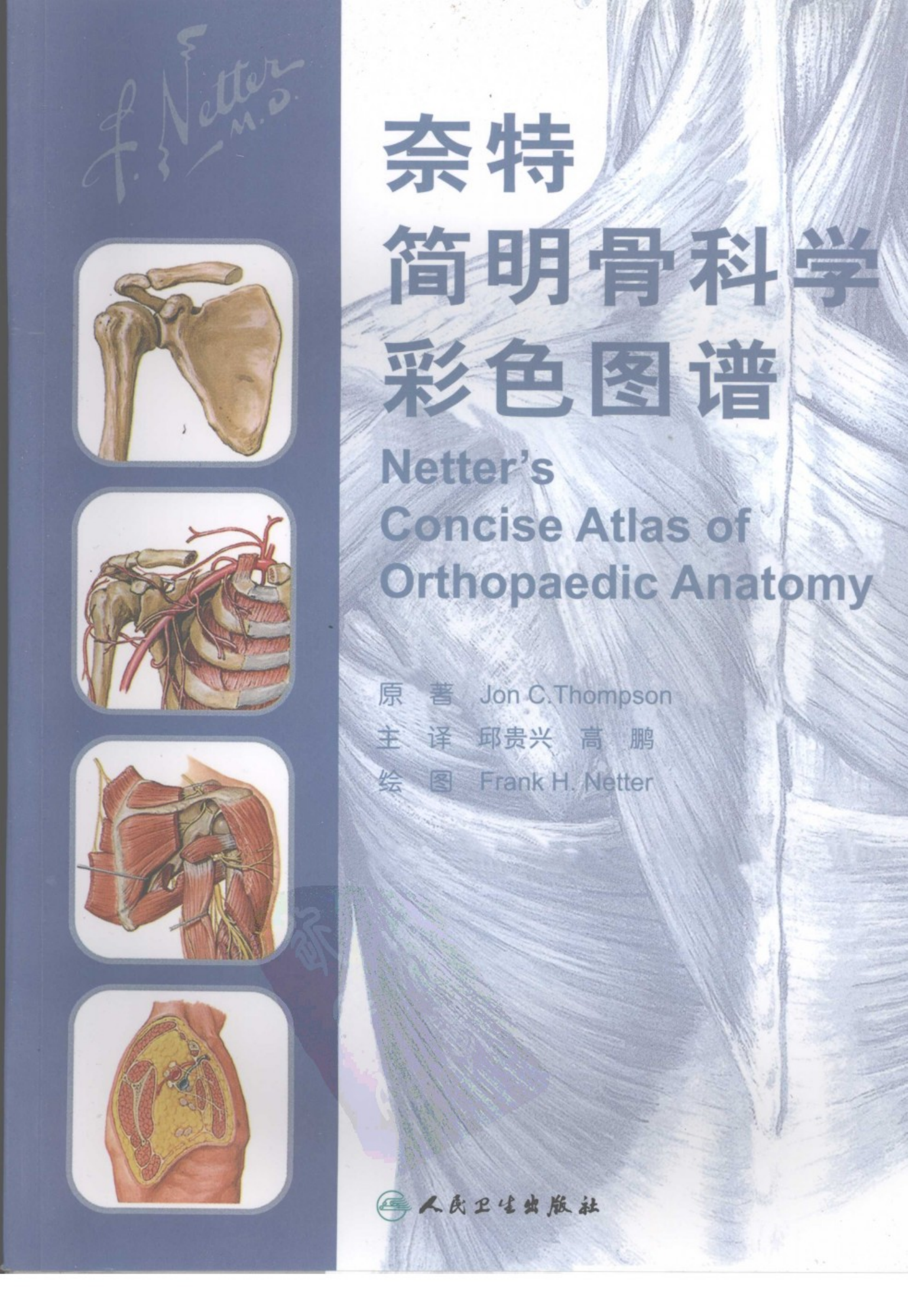 奈特简明骨科学彩色图谱（高清中文版）