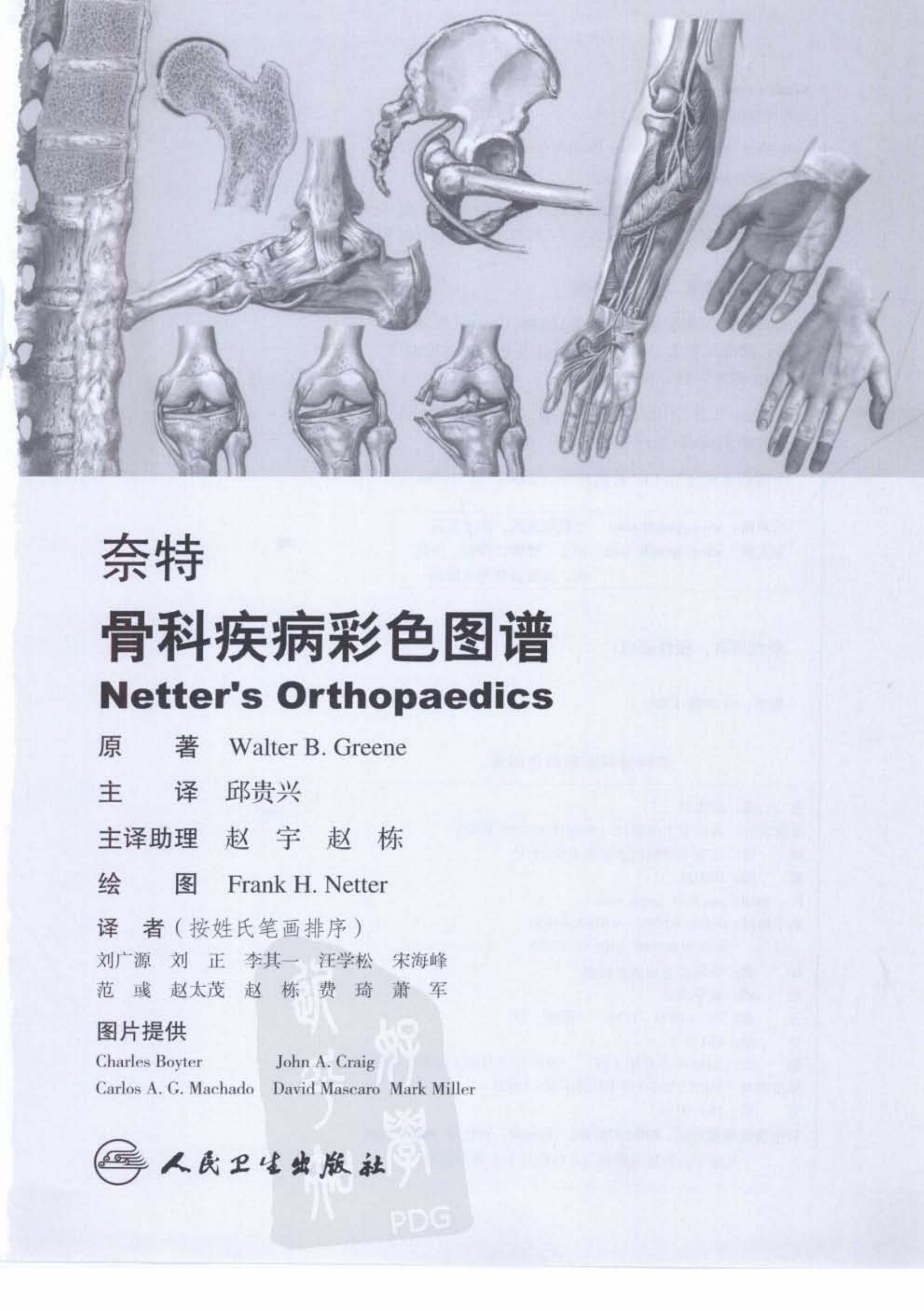 奈特骨科疾病彩色图谱（高清中文版）