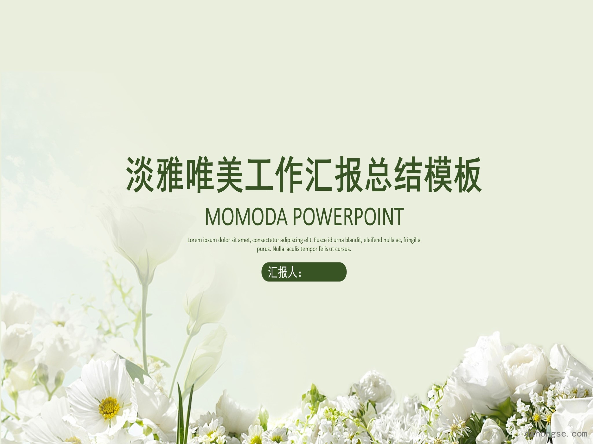 年终总结汇报 (313)