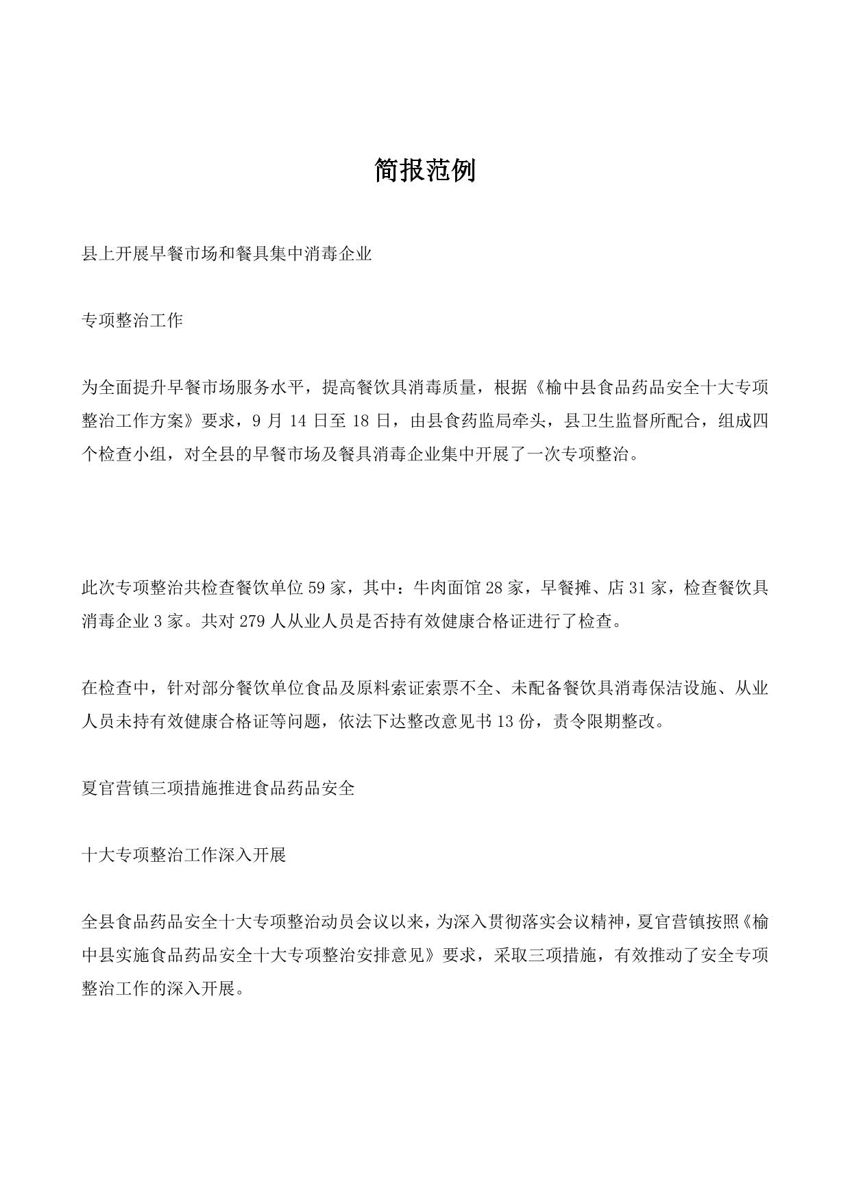 简报范例